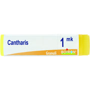 Cantharis mk gl