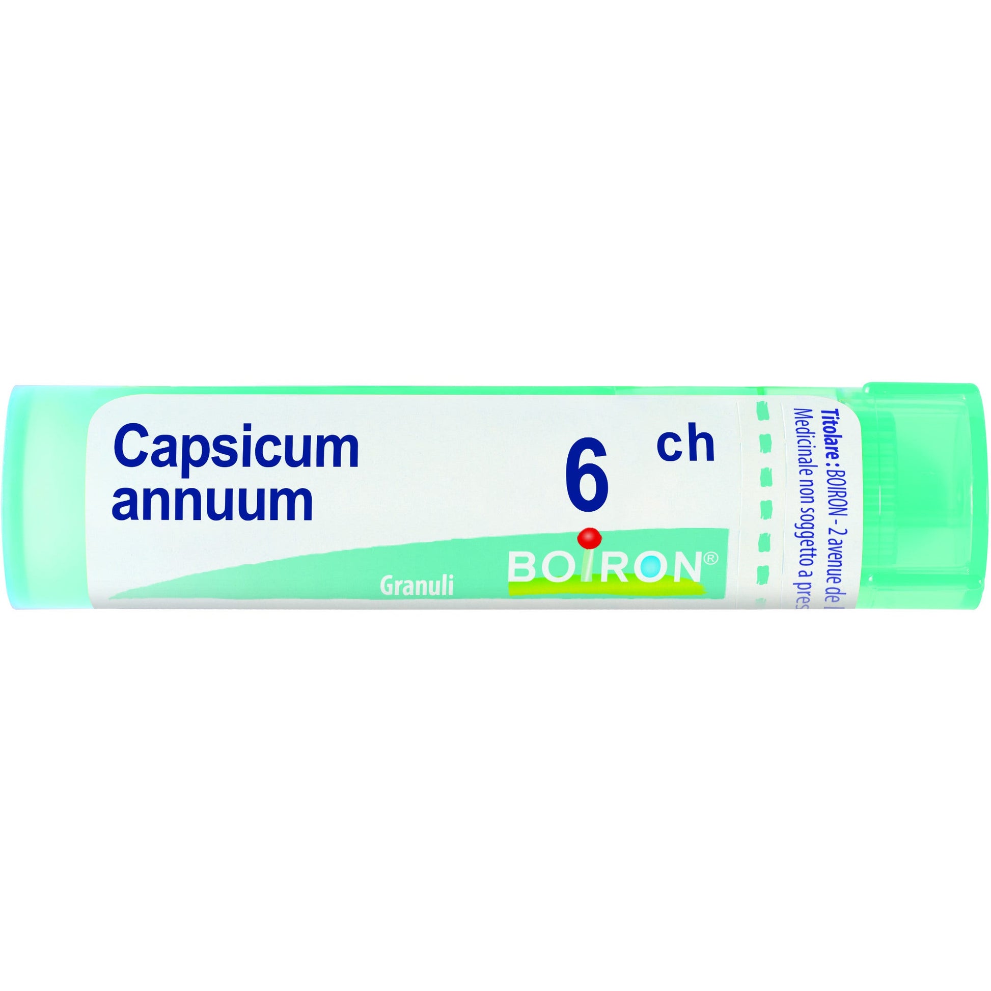 Capsicum ann boi 6ch 80gr 4g