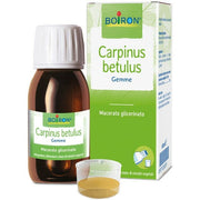 Carpinus betulus macerato glicerico 60 ml int