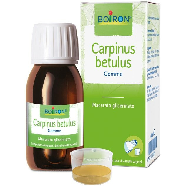 Carpinus betulus macerato glicerico 60 ml int