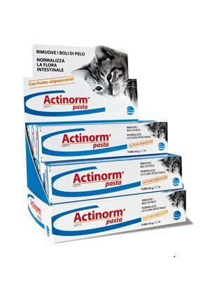 Ceva Actinorm Gatti Equilibrio Flora Intestinale Pasta 65g