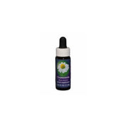 Chamomile ess 7,4ml calf