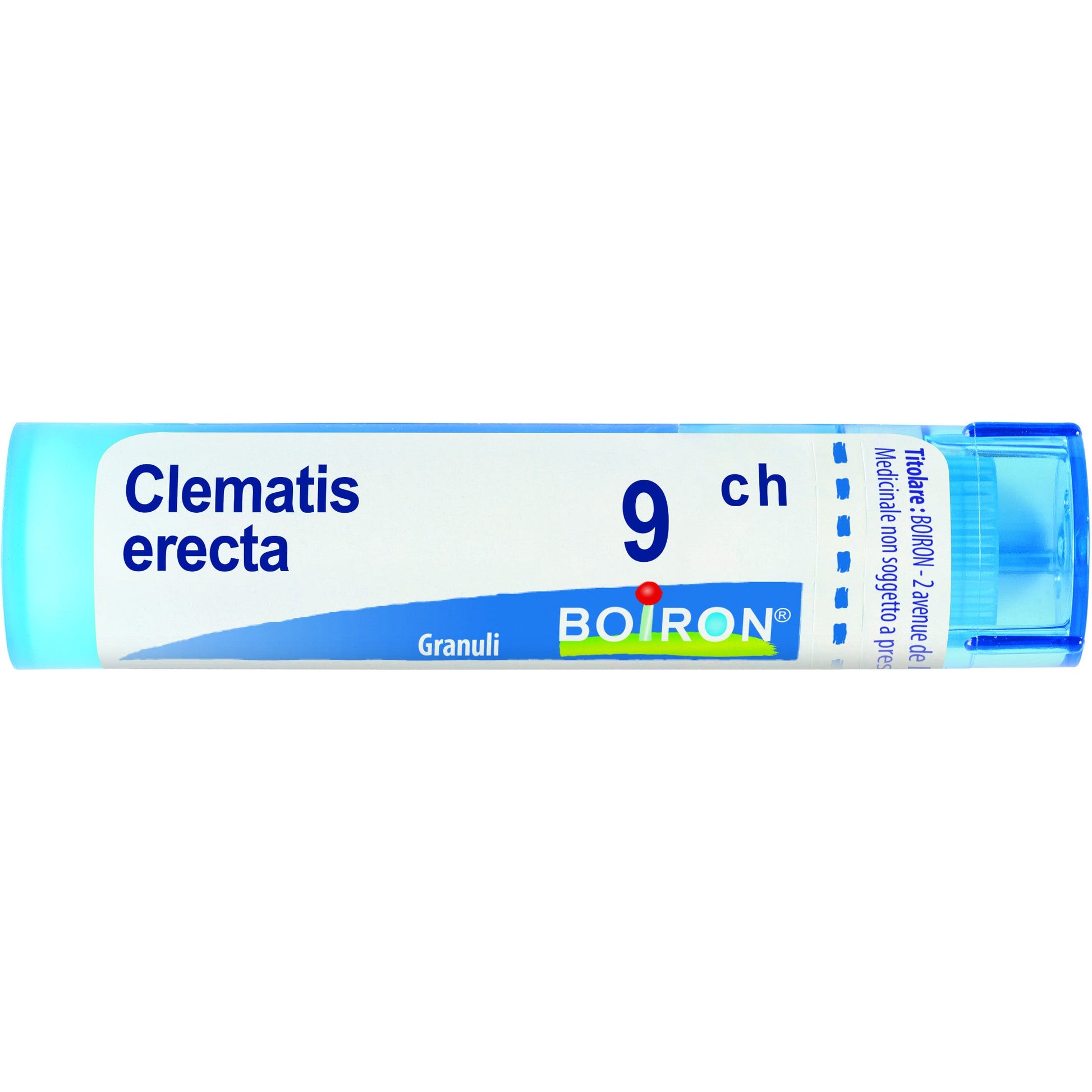 Clematis erec boi 9ch 80gr 4g