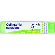 Collinsonia c boi 5ch 80gr