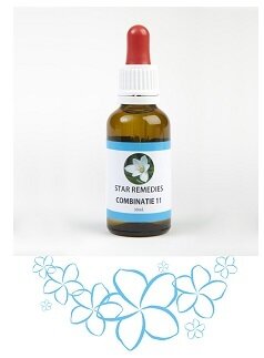 Combinazione 11 23,67 g