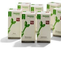 Corbezzolo 50ml mg