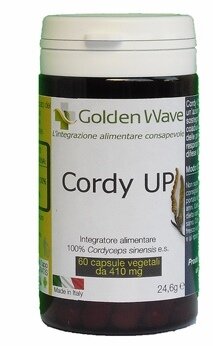 Cordy up 60 capsule