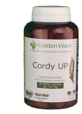 Cordy up 90 maxi capsule