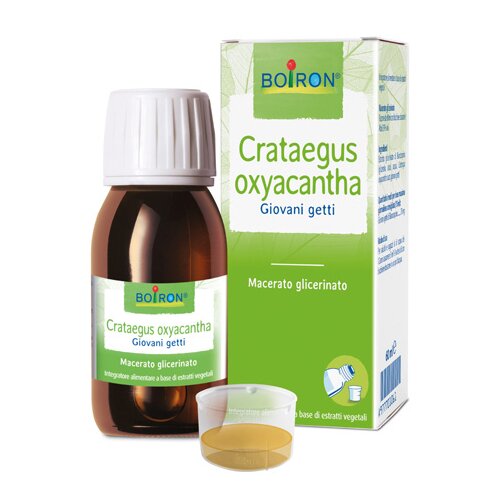 Crataegus oxyacantha macerato glicerico 60 ml int