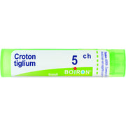 Croton tiglium 5ch gr