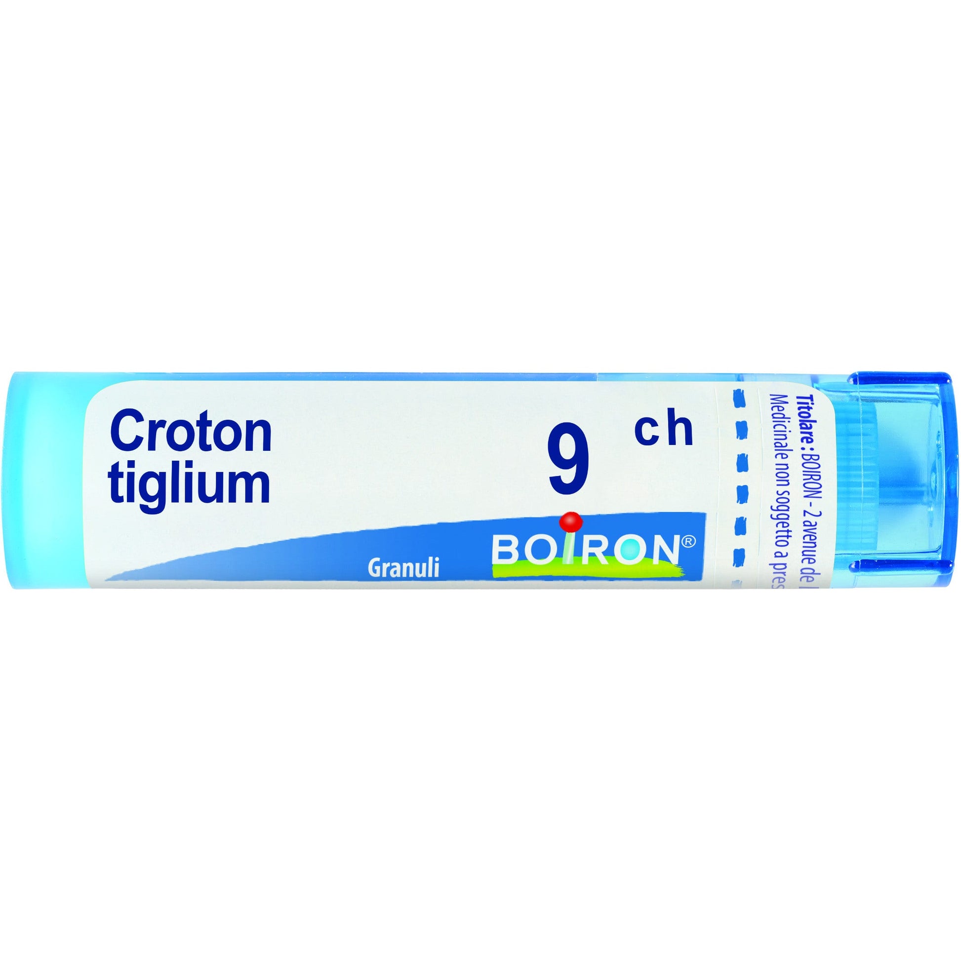 Croton tiglium 9ch gr