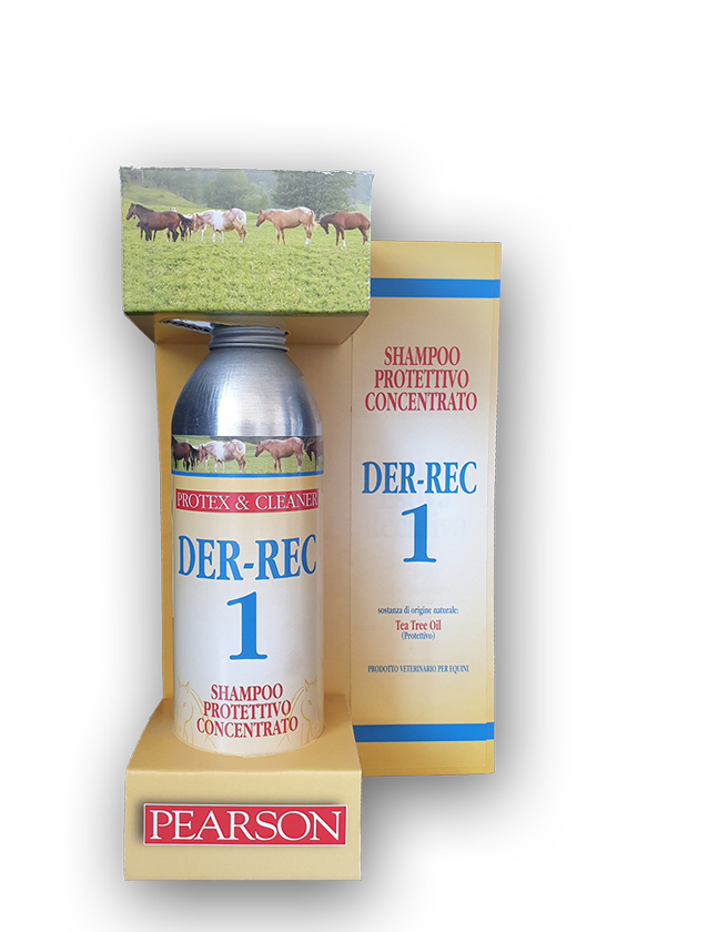 Dermatologico rec 1 p&c shampoo 250ml