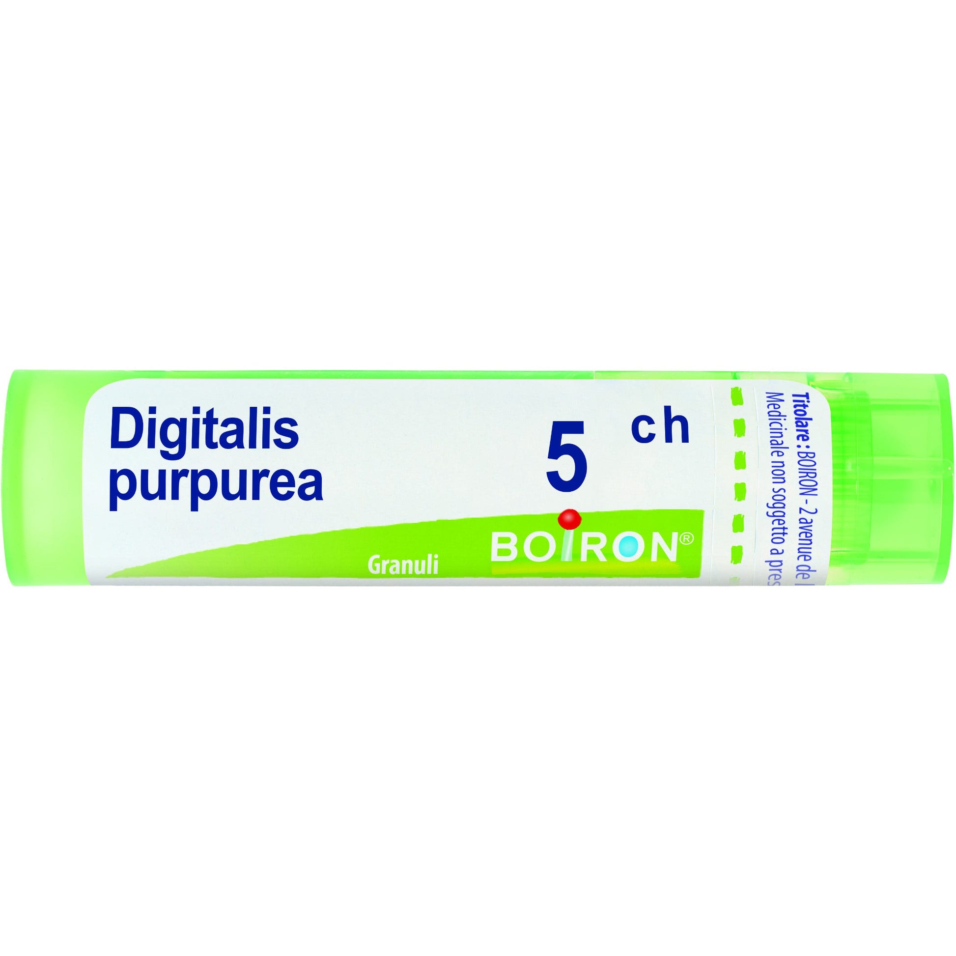 Digitalis pur boi 5ch 80gr 4g