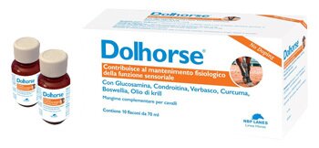 Dolhorse 10 flaconi da 70 ml
