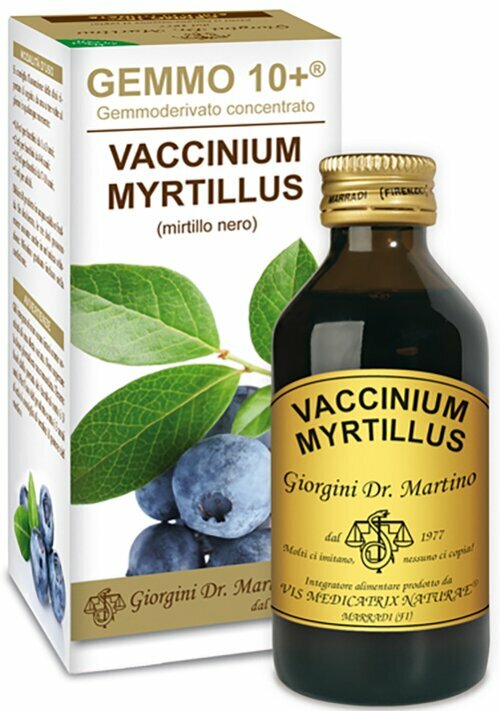 Dr. Giorgini Gemmo 10+ Mirtillo Nero Analcoolico 100 ml