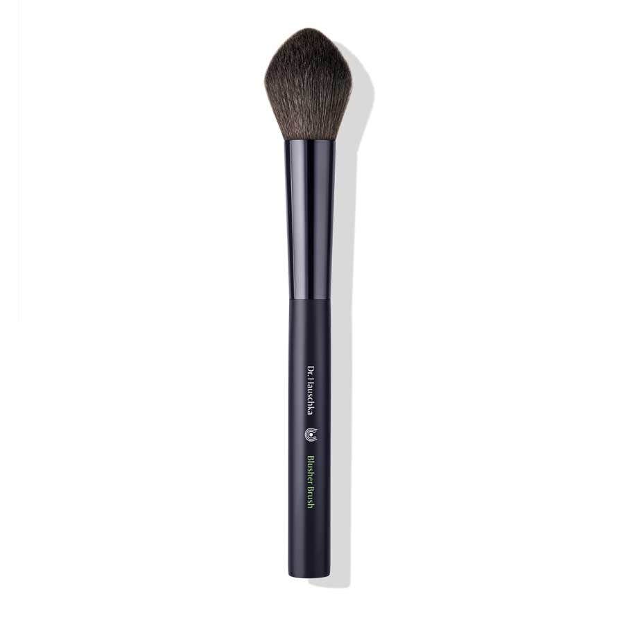 Dr hauschka mal blush brush