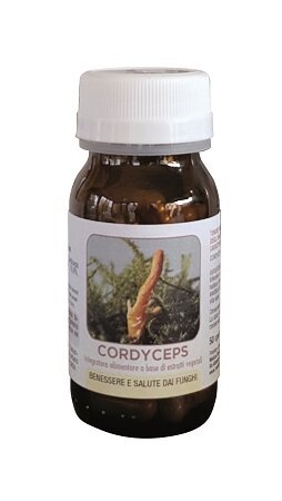 Dr pock cordyceps 50 capsule