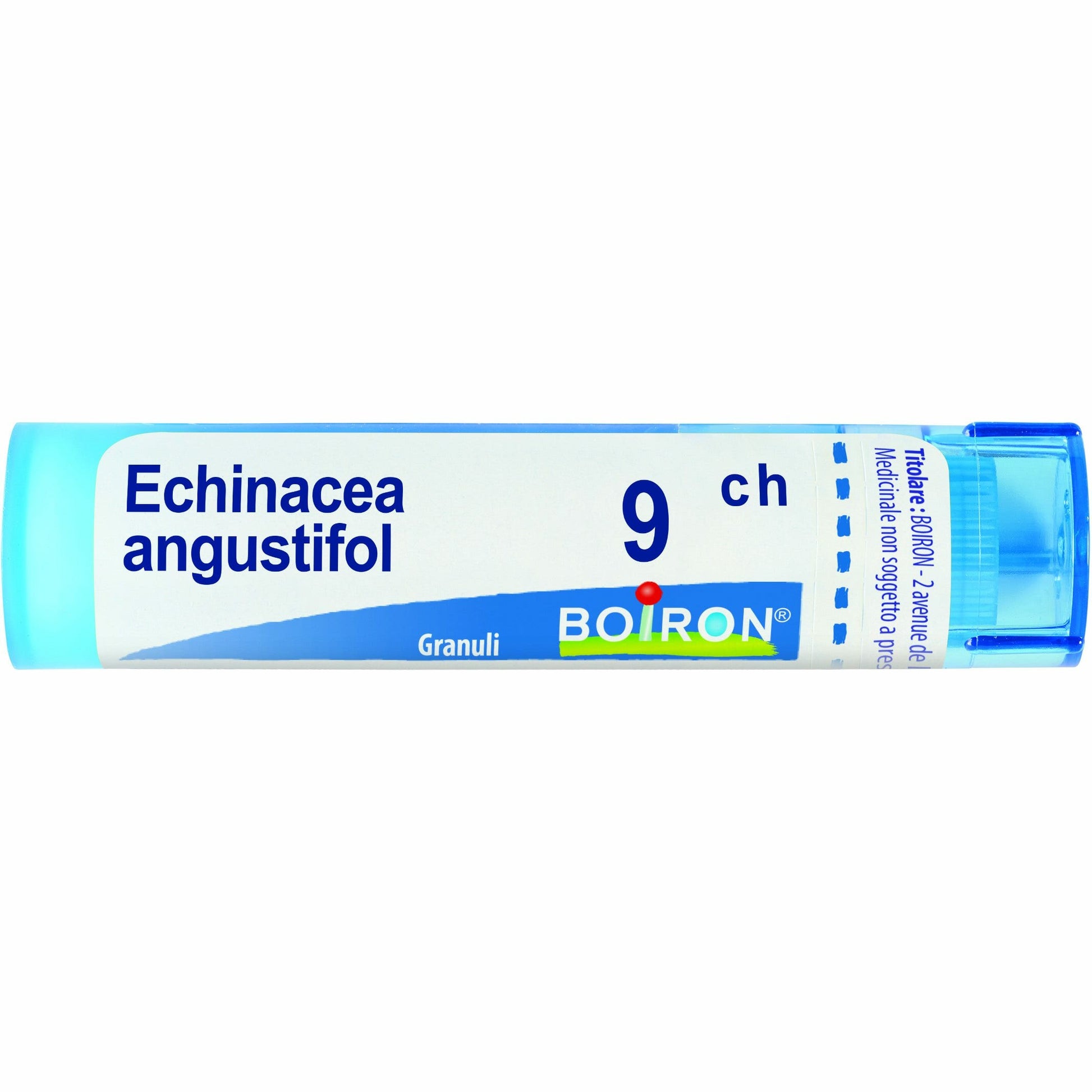 Echinacea angust 9ch gr