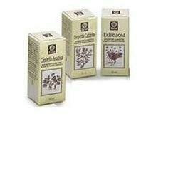Echinacea estratto analcolico 50 ml articolo 813
