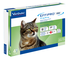 Effipro duo spot-on 4 pipette 0,5 ml gatti da 1 a 6 kg