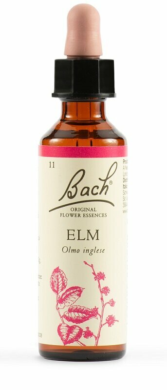 Elm bach original 20 ml