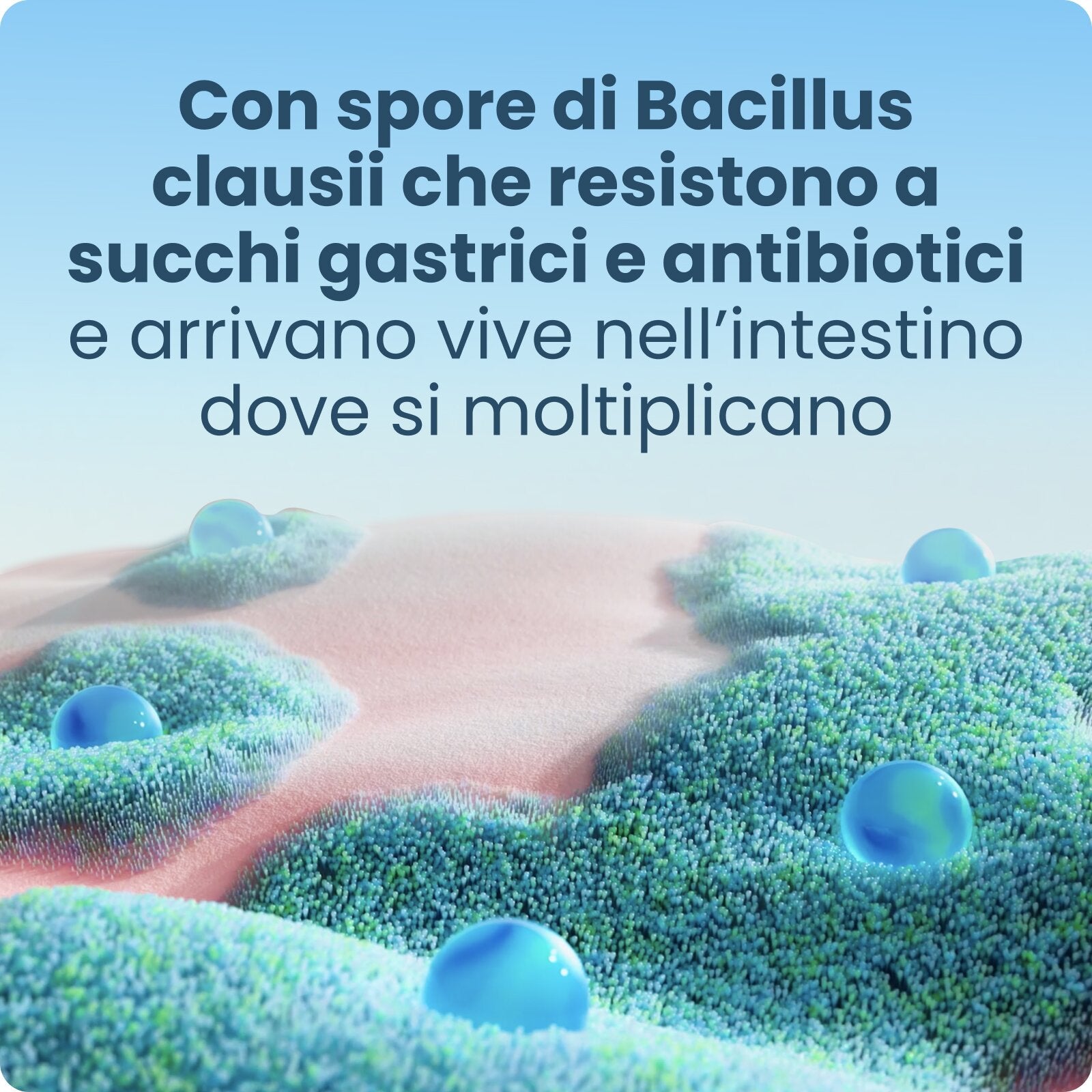 Enterogermina 2 Miliardi Contro i disturbi intestinali 20 Flaconcini