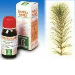 Equiseto 12 50ml tintura madre