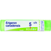 Erigeron canad 5ch gr