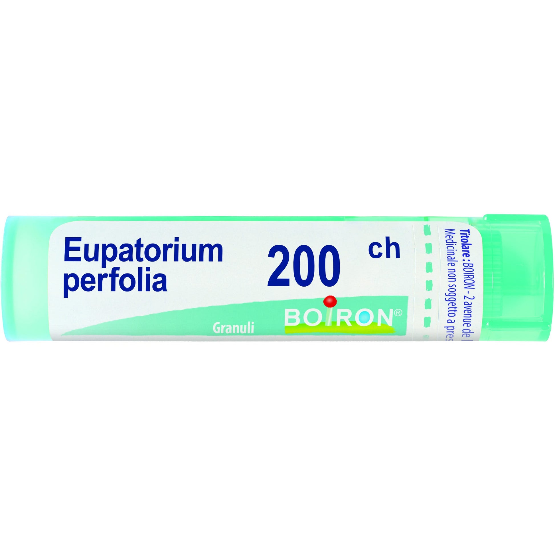 Eupatorium p boi 200ch 80gr 4g