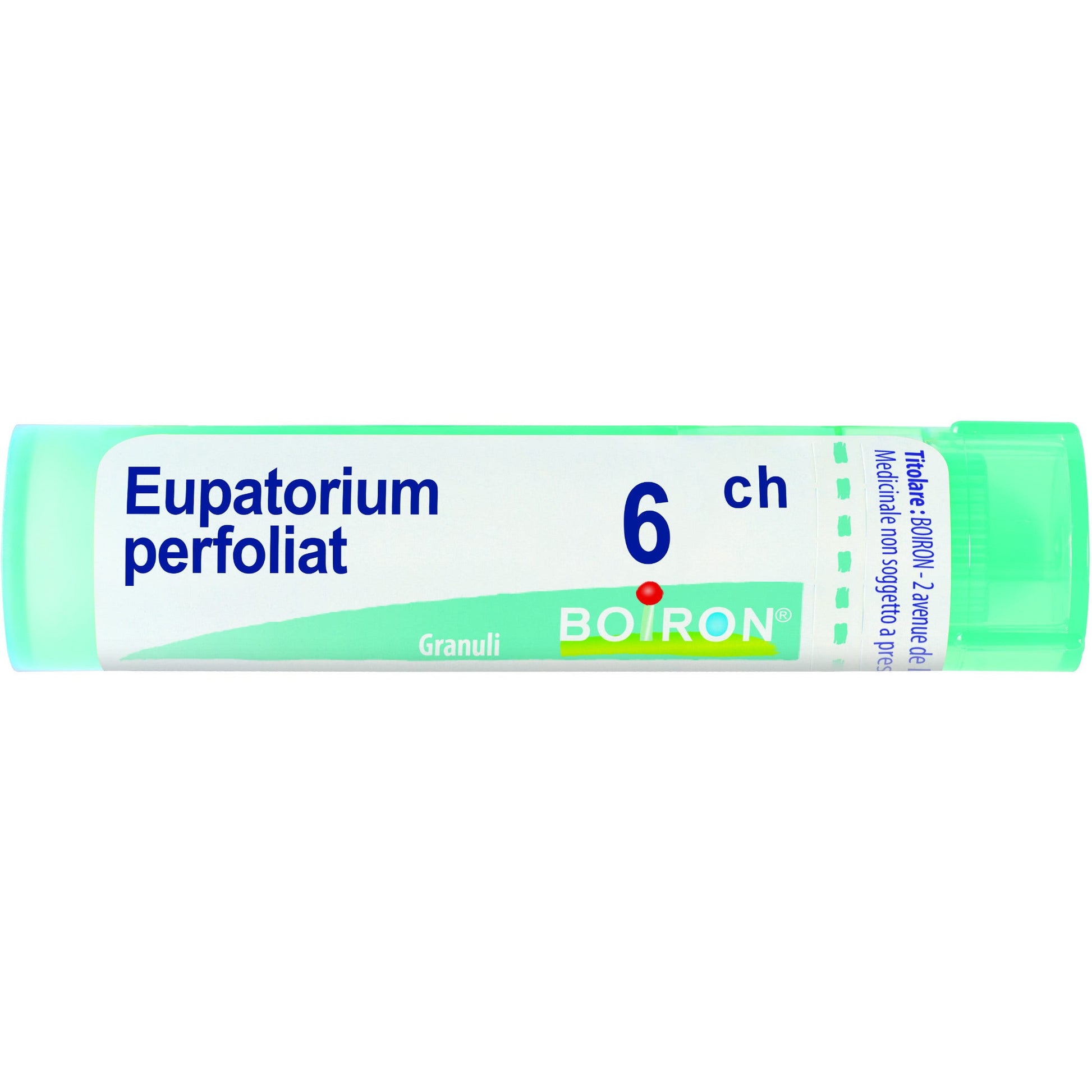 Eupatorium p boi 6ch80gr