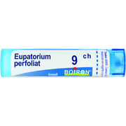 Eupatorium p boi 9ch80gr