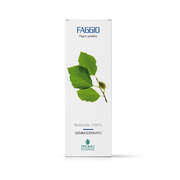 Faggio gemmoderivato 50ml