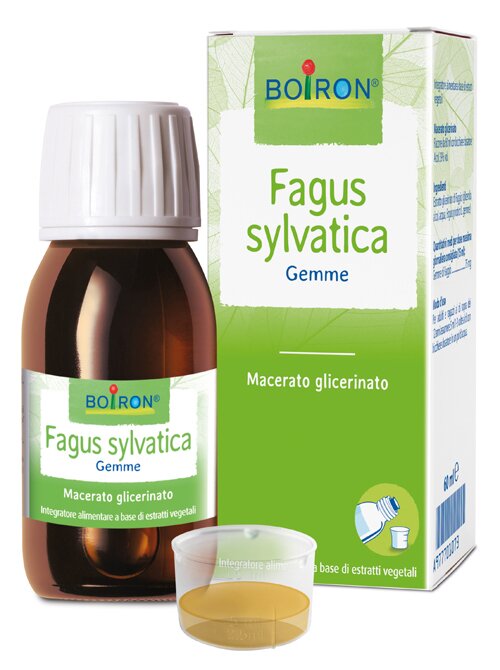 Fagus sylvatica macerato glicerico 60 ml int