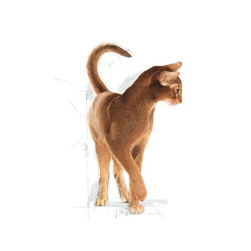 Feline Health Gatto Aroma Exigent Aromatic Attraction 400g