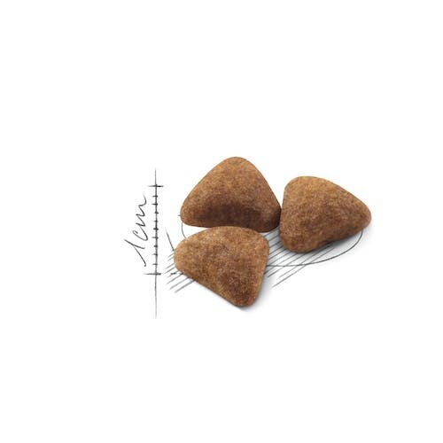 Feline Health Nutrition Indoor 27 Mangime Secco per Gatto 400g