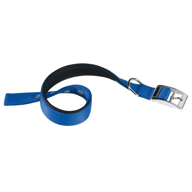 Ferplast daytona c collare in nylon con soffice imbottitura blu  per cani c20/43