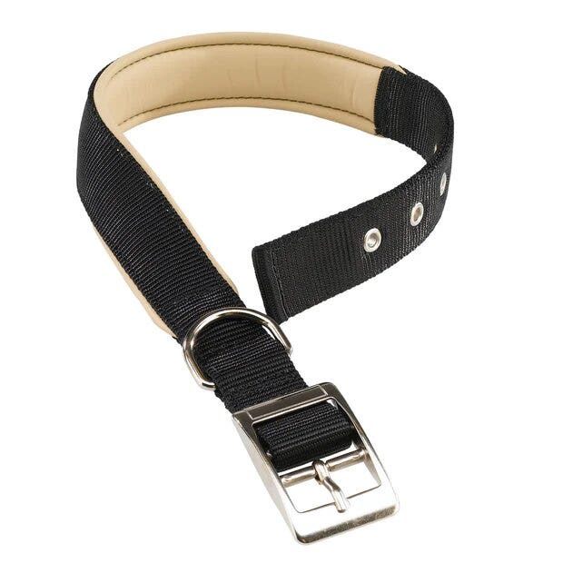Ferplast daytona c collare in nylon con soffice imbottitura nero per cani c25/53