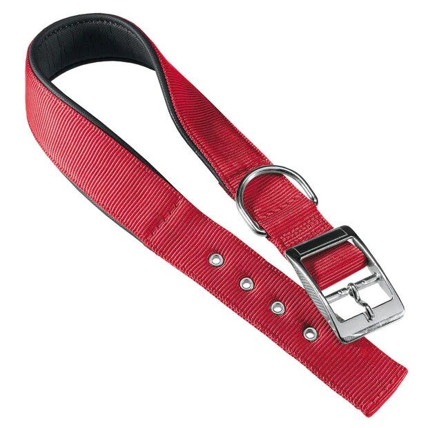 Ferplast daytona c collare in nylon con soffice imbottitura rosso  per cani c20/43