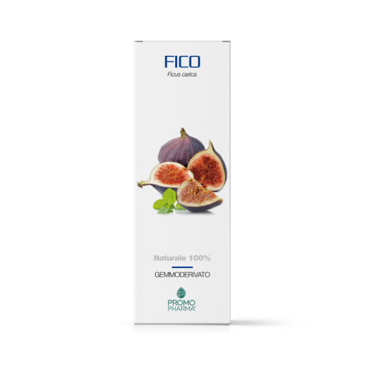 Fico gemmoderivato 50ml