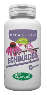 Fitoattivi echinacea 60 capsule