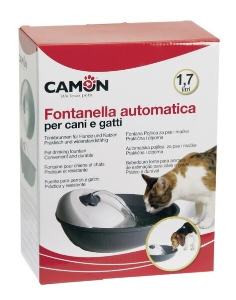 Fontanella drinking fountain