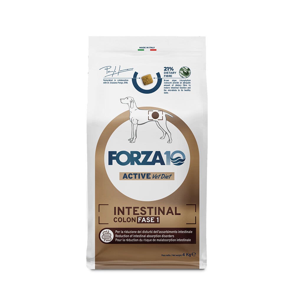 Forza10 intestinal colon fase i cibo secco pesce per cani adulti sacco 10kg