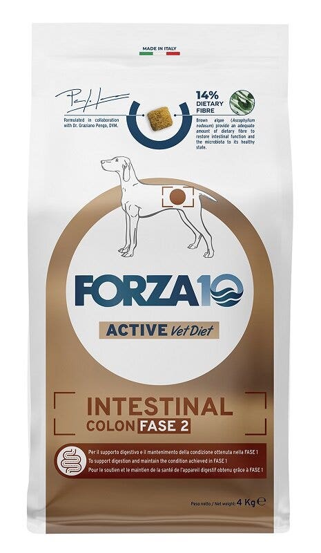 Forza10 intestinal colon fase i cibo secco pesce per cani adulti sacco 4kg