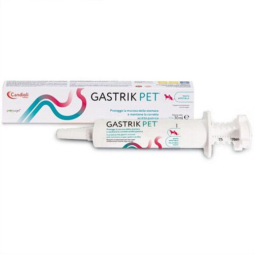 Gastrik pet pasta 30ml siringa