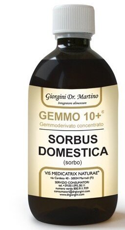 Gemmo 10+ gemmoderivato concentrato liquido analcolico sorbus domestica sorbo 500 ml
