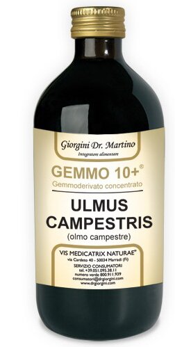 Gemmo 10+ olmo campestre 500 ml liquido analcolico