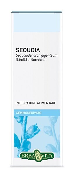 Gemmoderivato sequoia 50 ml