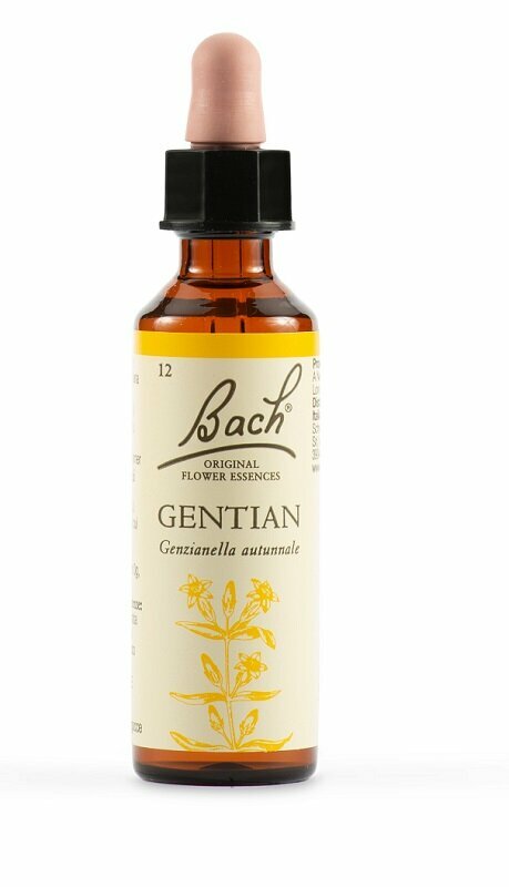 Gentian bach original 20 ml
