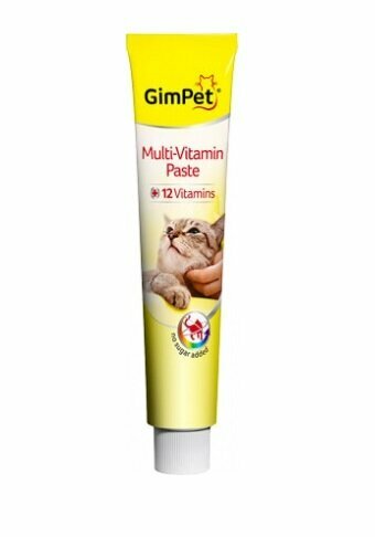 Gimborn Gimcat Pasta Multivitaminica Professional 20g