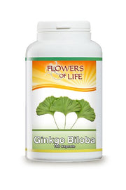 Ginkgo biloba 100 capsule flowers of life